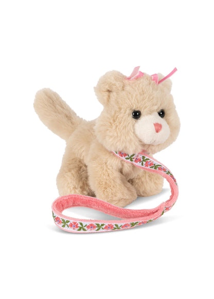 Gatinho de estimação