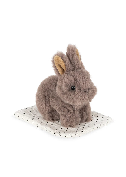 Mini Peluche Coelhinho "Take Care of Me" com Transportadora e Manta