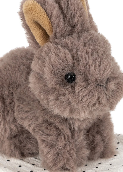 Mini Peluche Coelhinho "Take Care of Me" com Transportadora e Manta