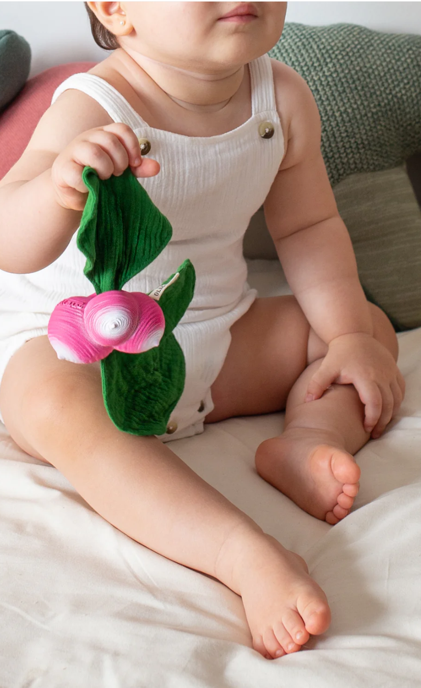 Postor y doudou &quot;Ramona, el mindou de rábano&quot; 