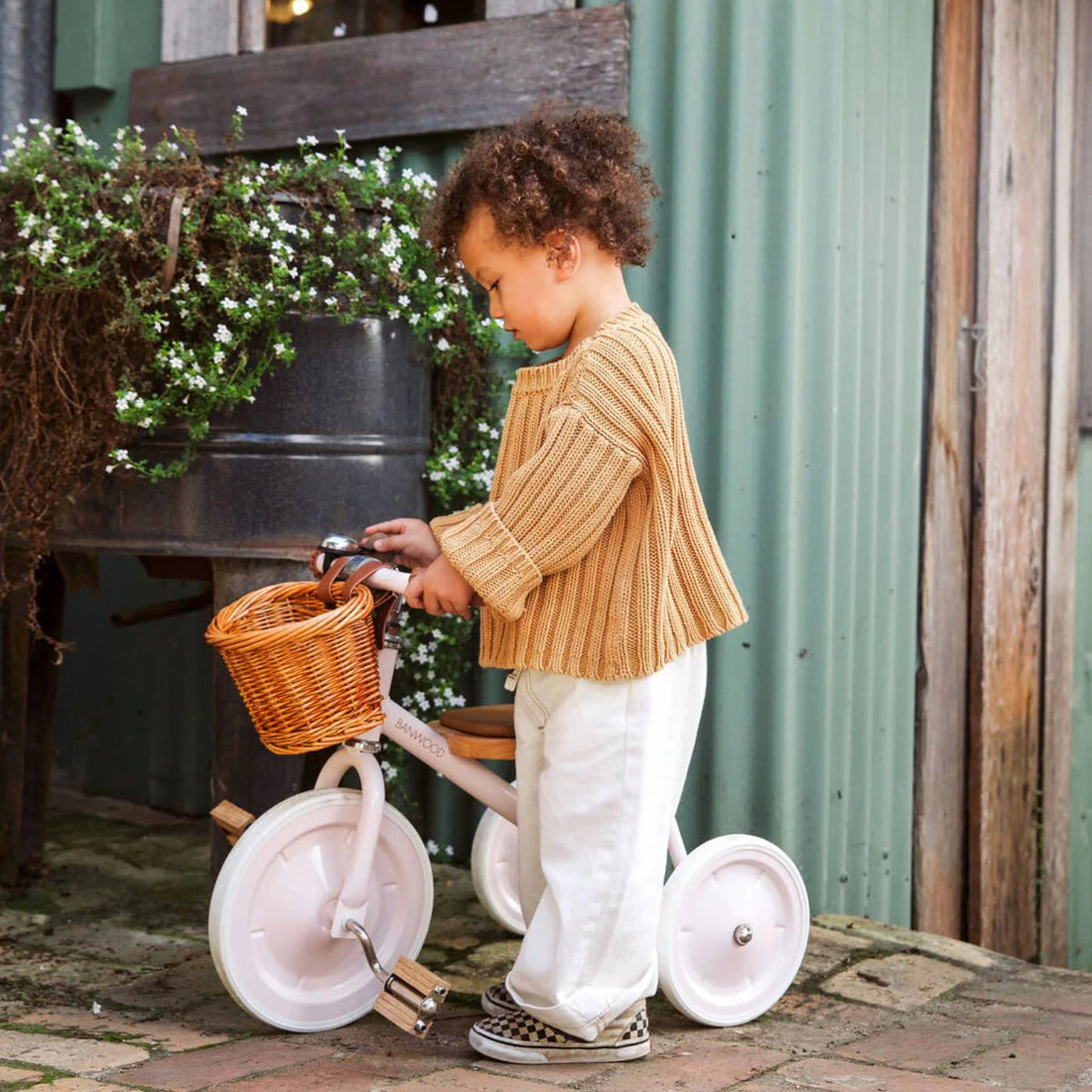 Banwood Tricycle - Pink
