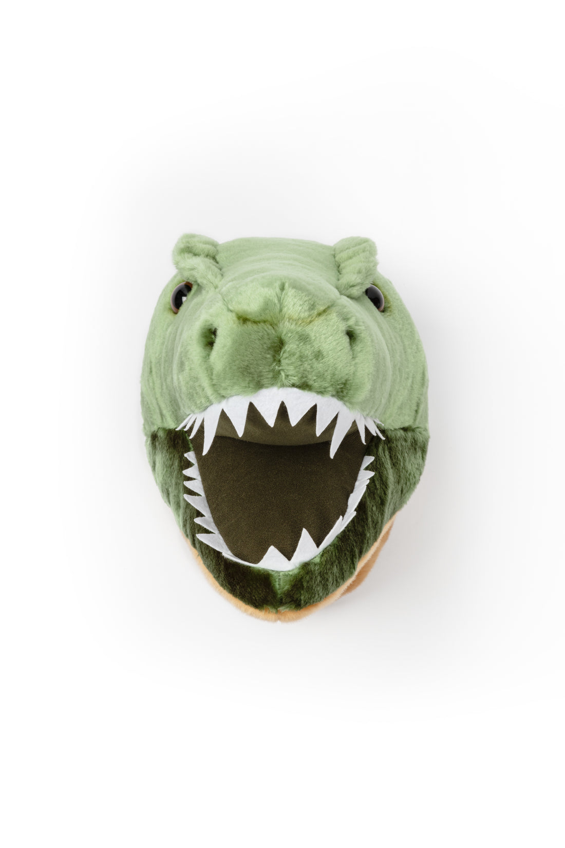 Cabeza de pared - Dinosaurio &quot;Hendrik&quot;