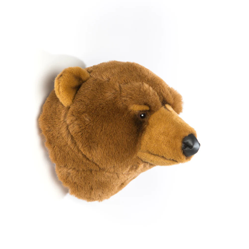 Oliver el oso grizzly - Cabeza de pared