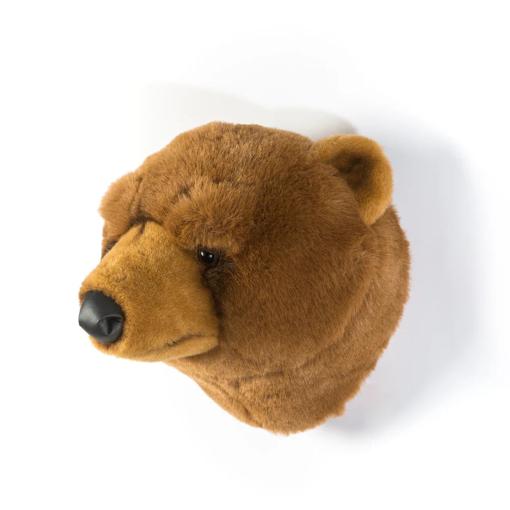 Oliver el oso grizzly - Cabeza de pared