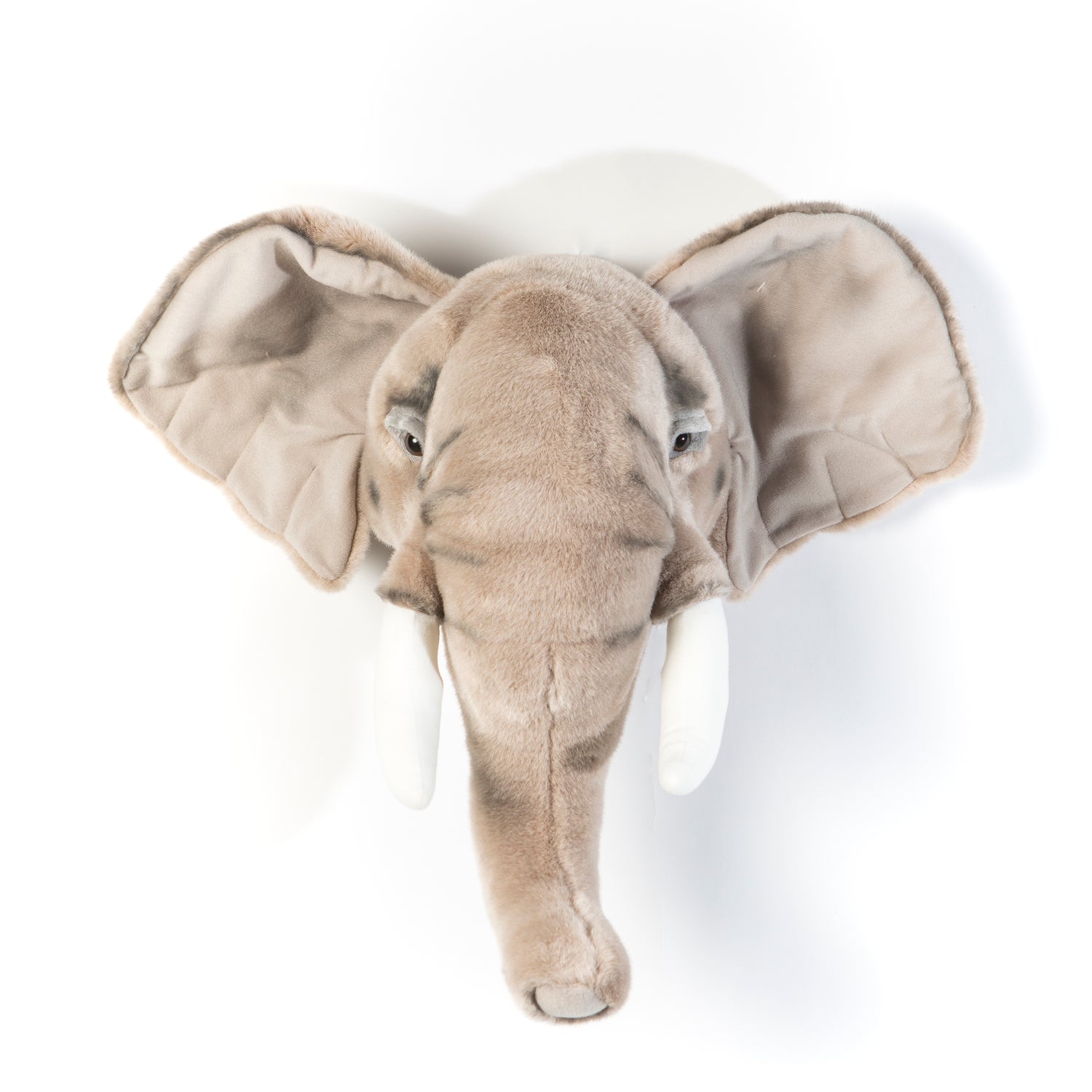 Cabeza de pared &quot;George Elefante&quot;