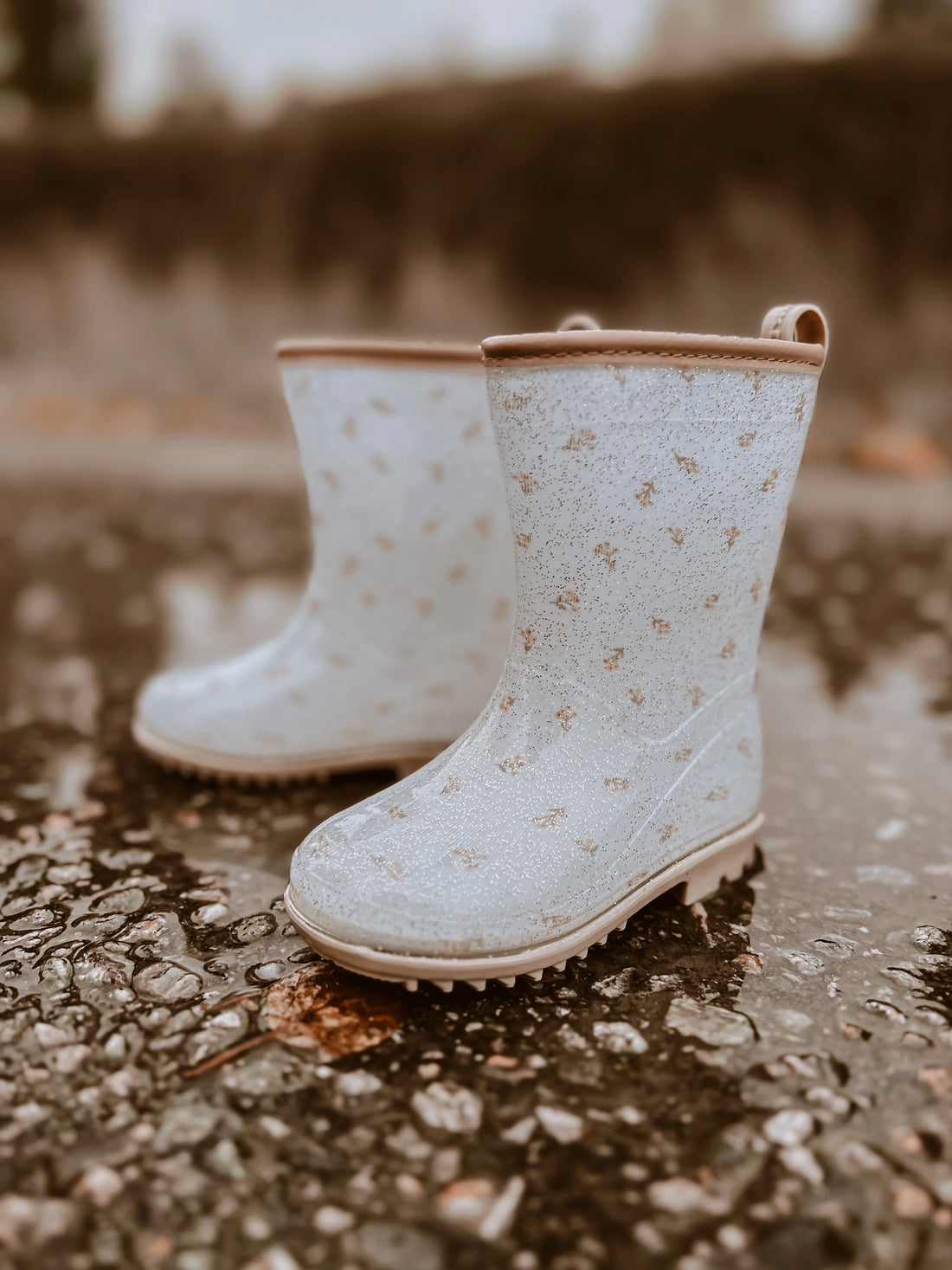 Waterproof galoshes