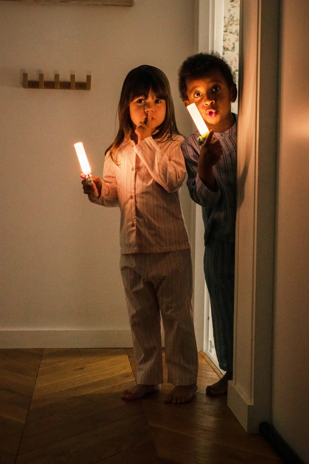 Lanterna - Zoo Light Edition