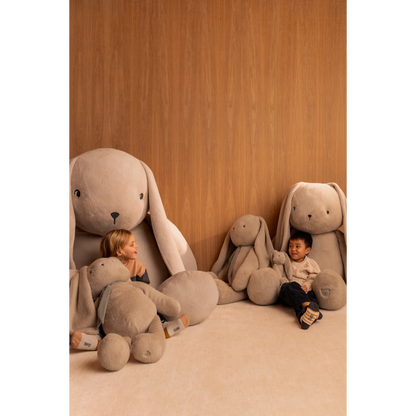 Coelho de Peluche Bernis
