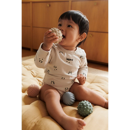 Conjunto de 5 Bolas Sensoriais em Silicone