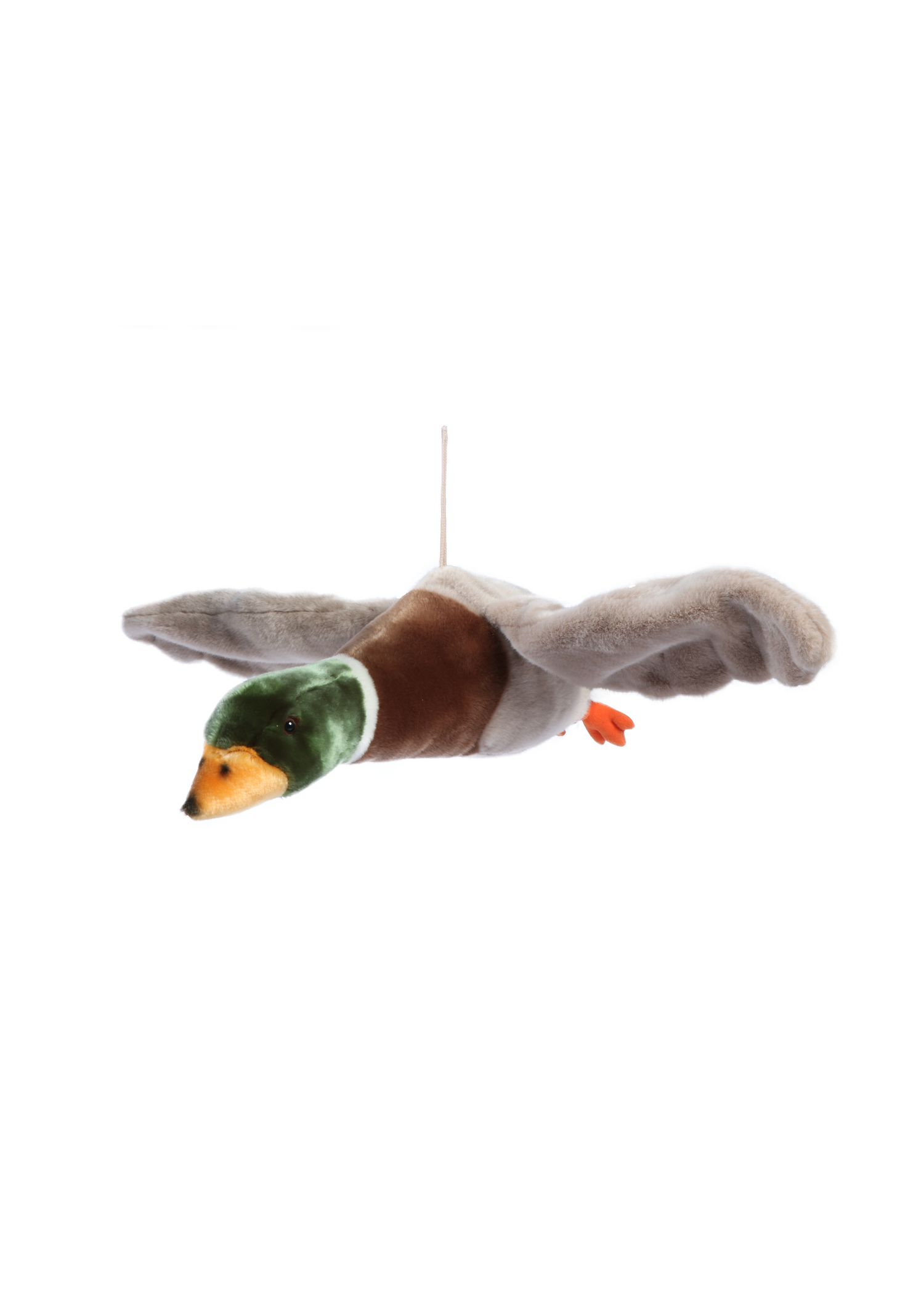 Pato volador &quot;Alain&quot;