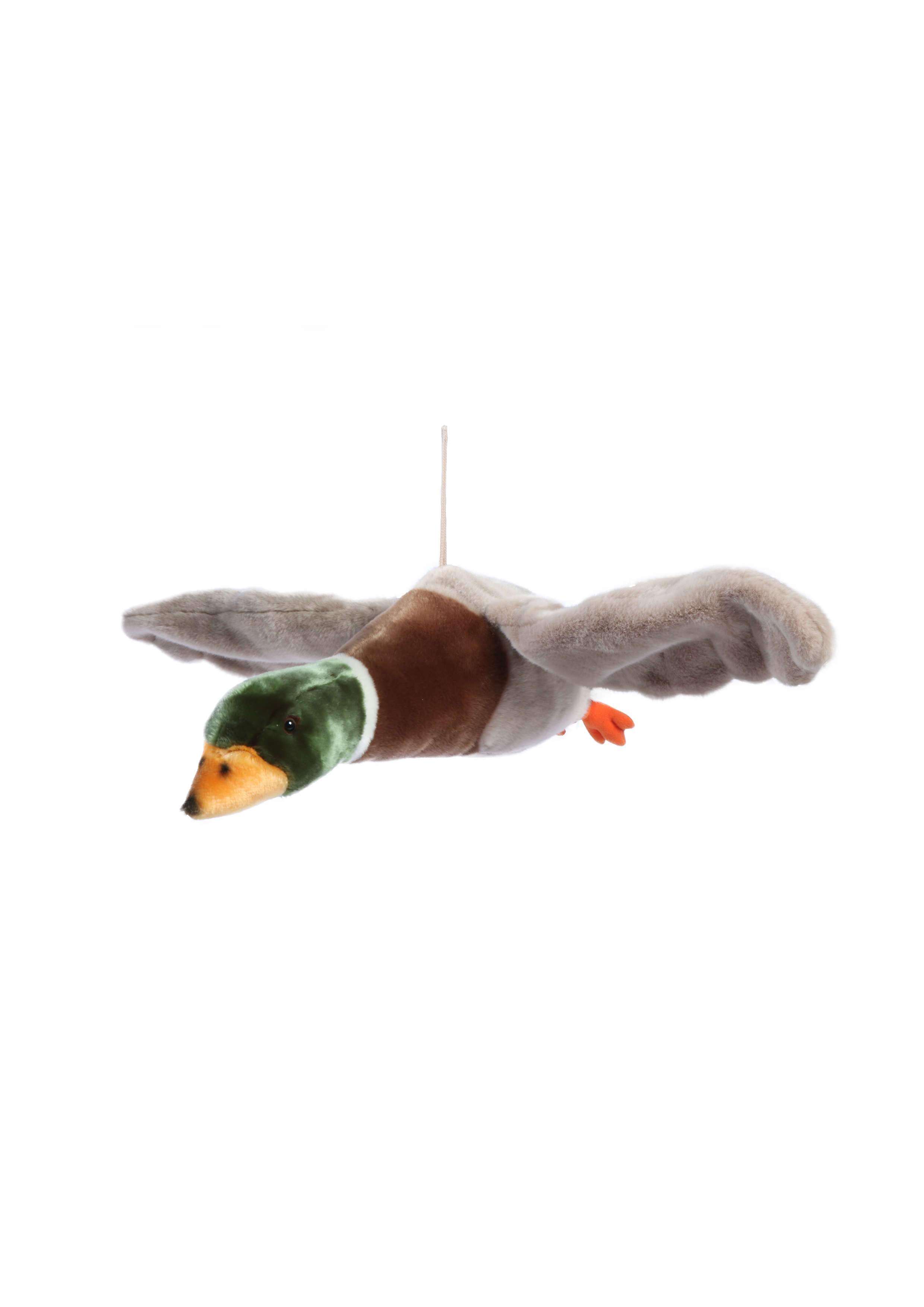 Pato volador &quot;Alain&quot;