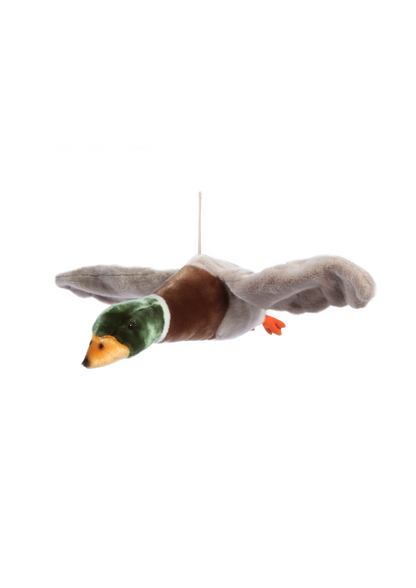 Pato volador &quot;Alain&quot;