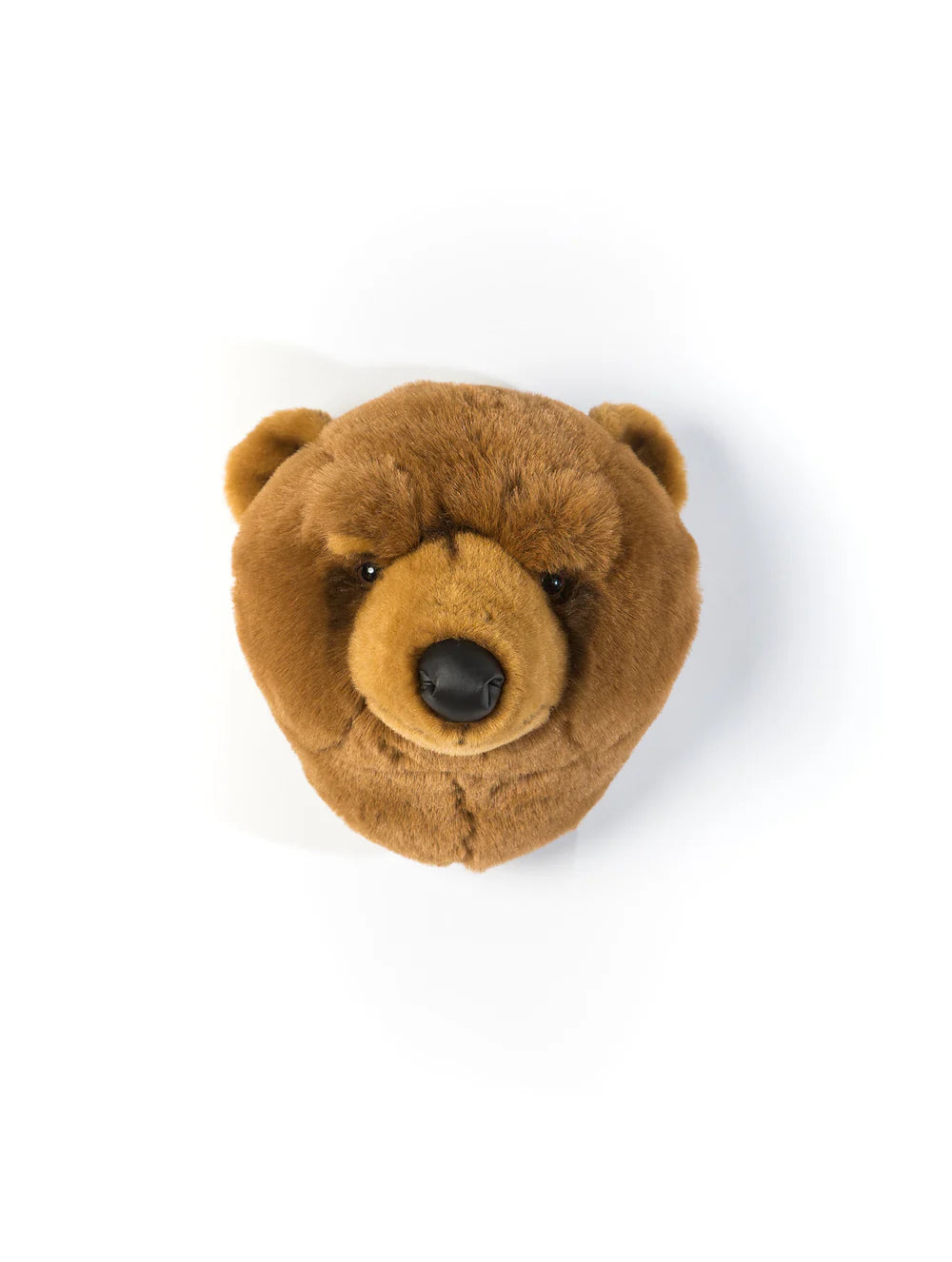 Oliver el oso grizzly - Cabeza de pared