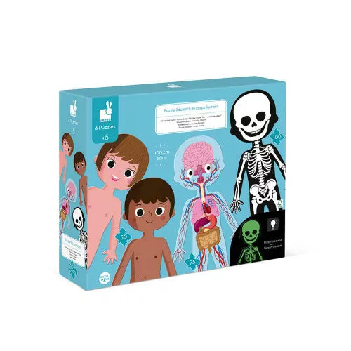 Rompecabezas educativo del cuerpo humano