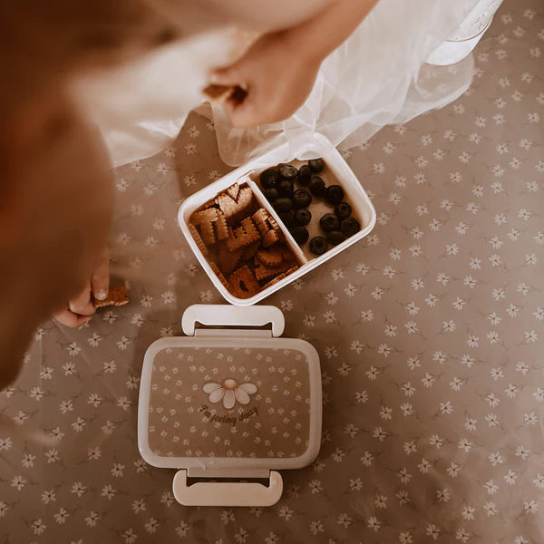 Lunch box