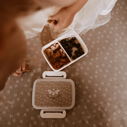 Lunch box