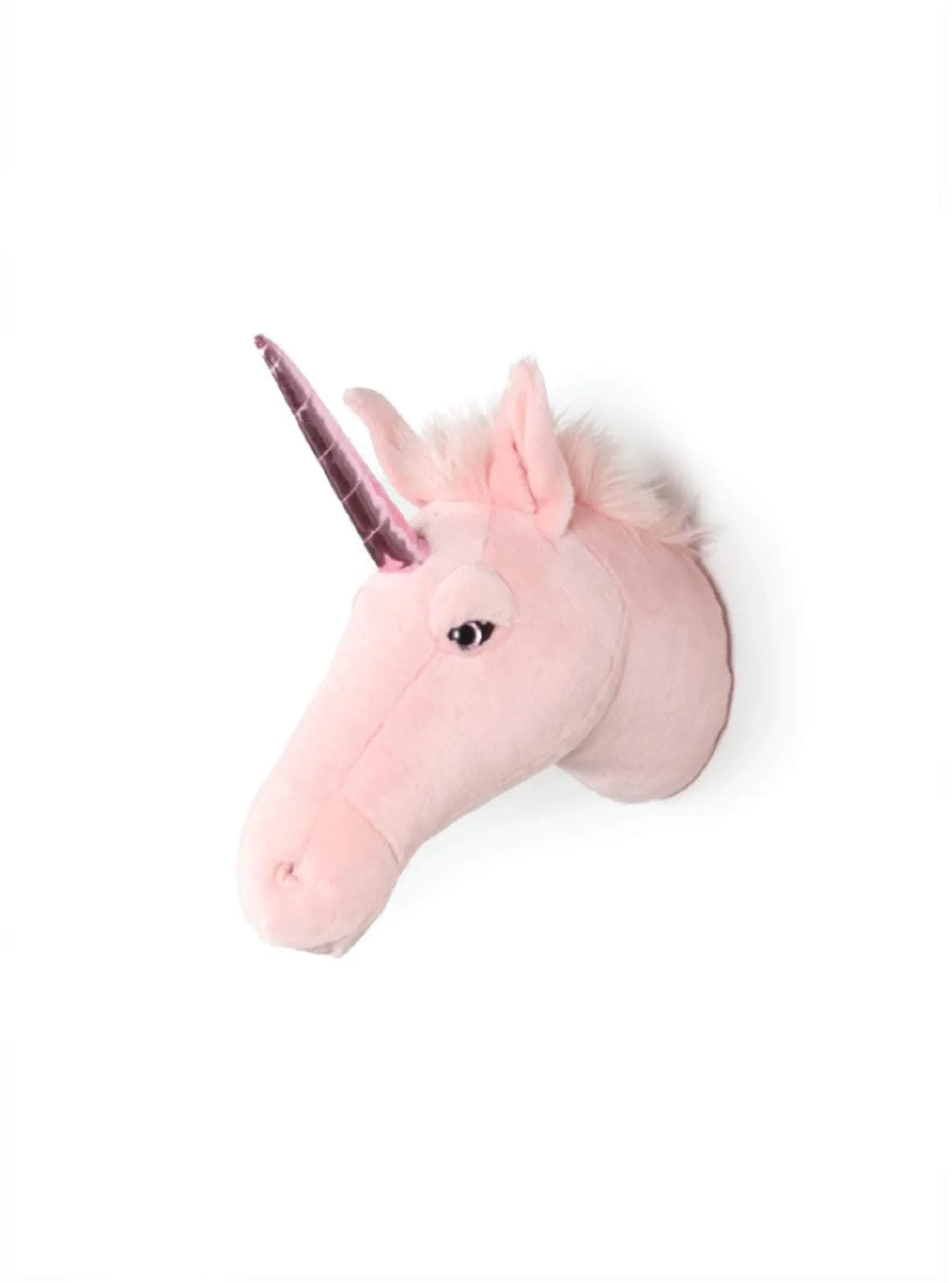 Julia y Claire, los unicornios mágicos