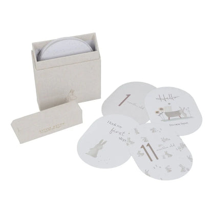 Milestone cards Baby Bunny
