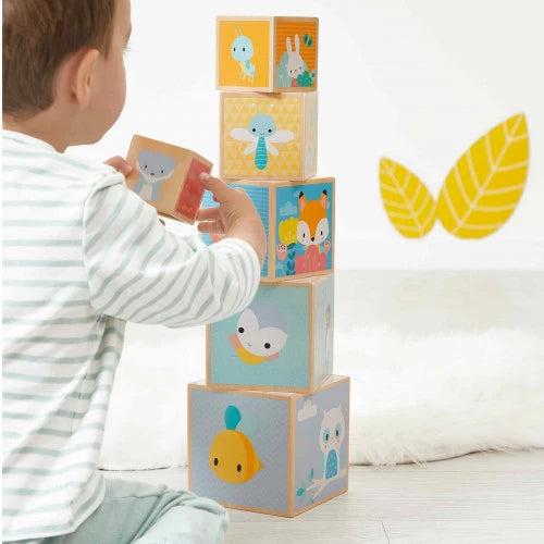 Pirâmide 6 Cubos