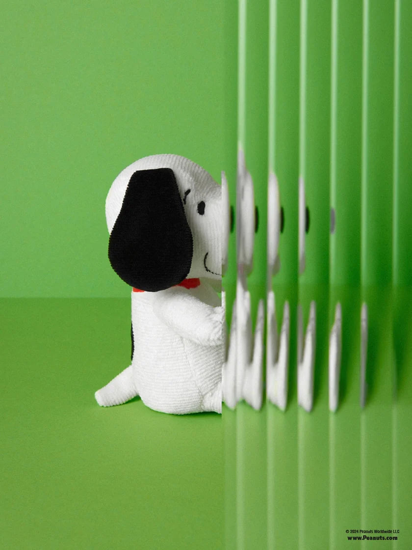 Snoopy in Giftbox