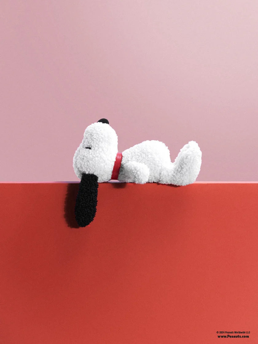 Snoopy in Giftbox