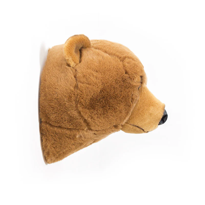 Oliver el oso grizzly - Cabeza de pared