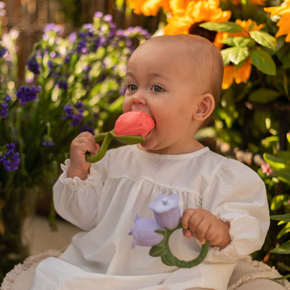 Mordedor &quot;Theo, the tulip&quot;