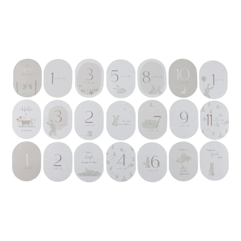 Milestone cards Baby Bunny
