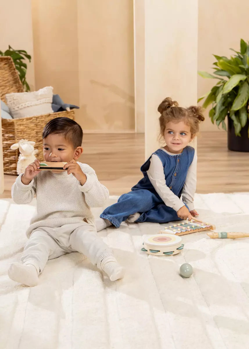 Conjunto de Instrumentos Musicais de Madeira