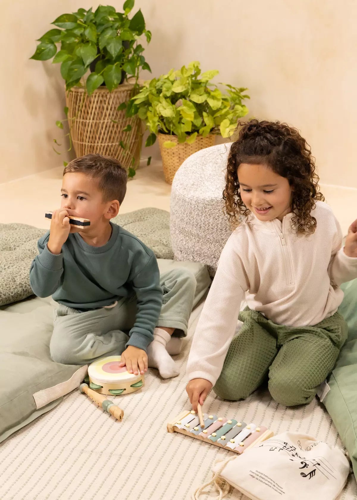 Conjunto de Instrumentos Musicais de Madeira